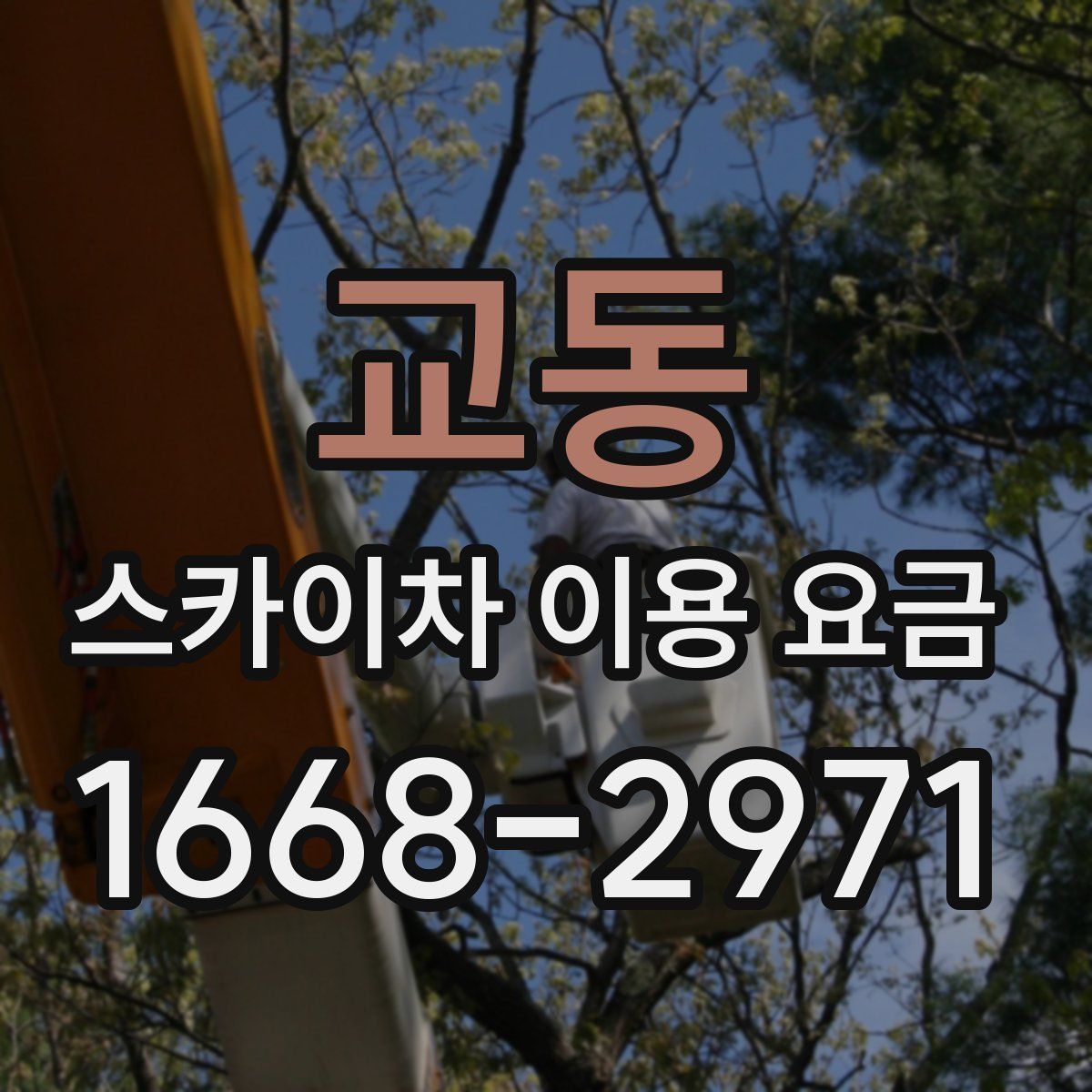 교동 스카이차 이용 요금