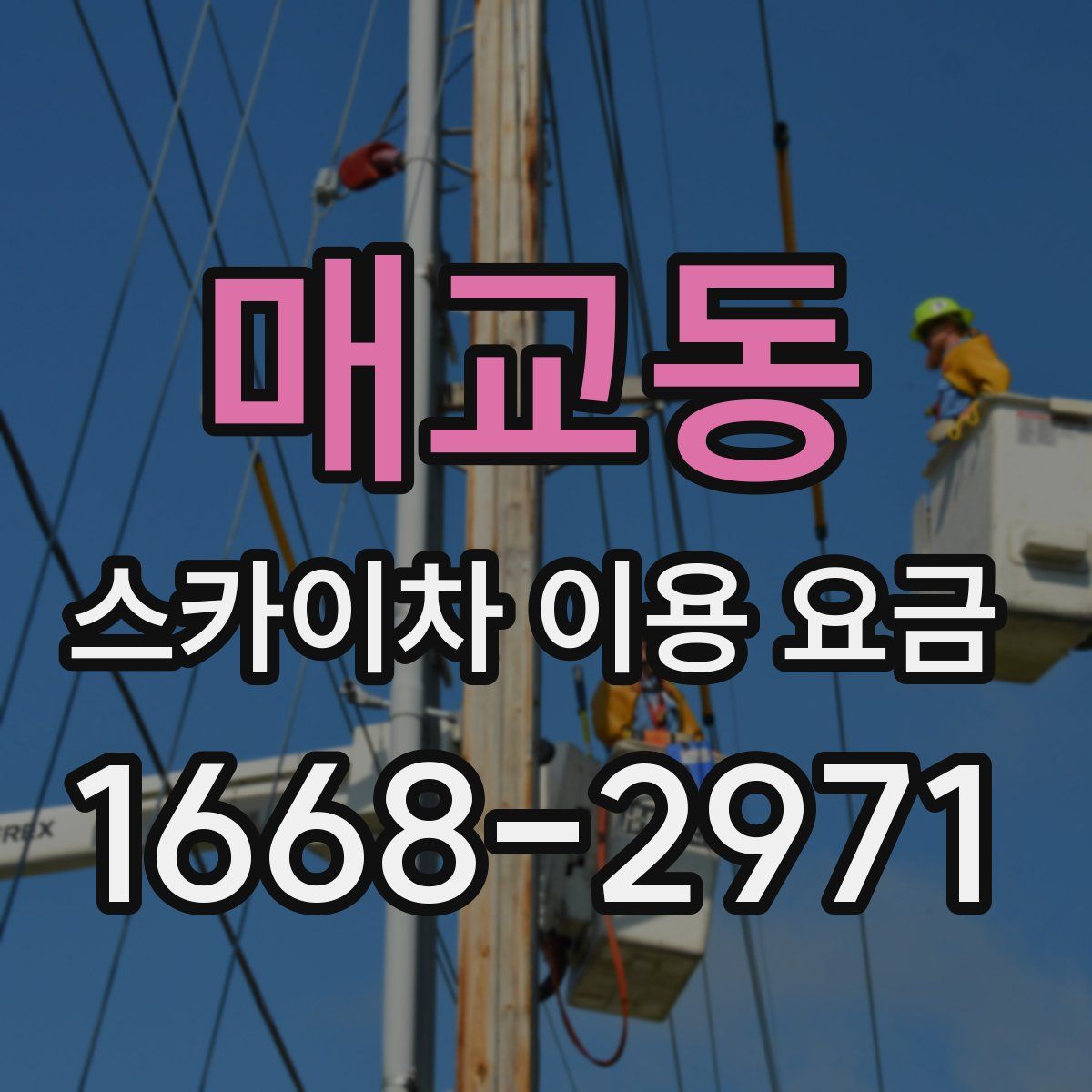 매교동 스카이차 이용 요금