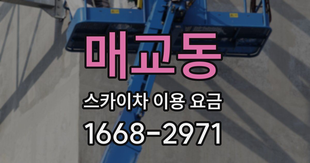 매교동 스카이차 이용 요금