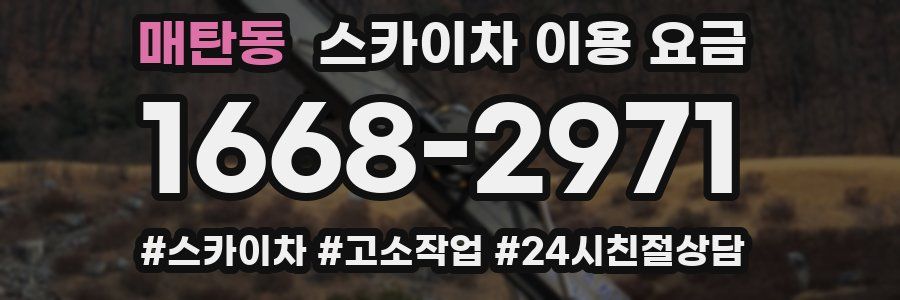 매탄동 스카이차 이용 요금