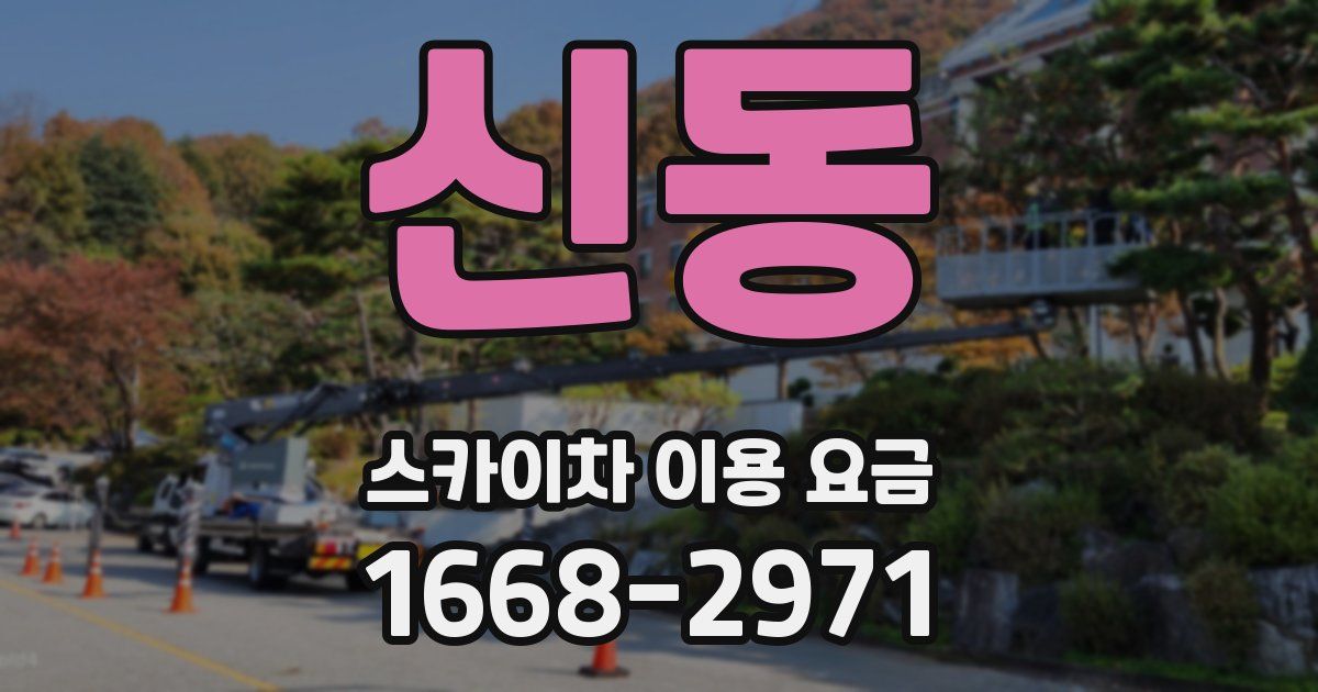 신동 스카이차 이용 요금