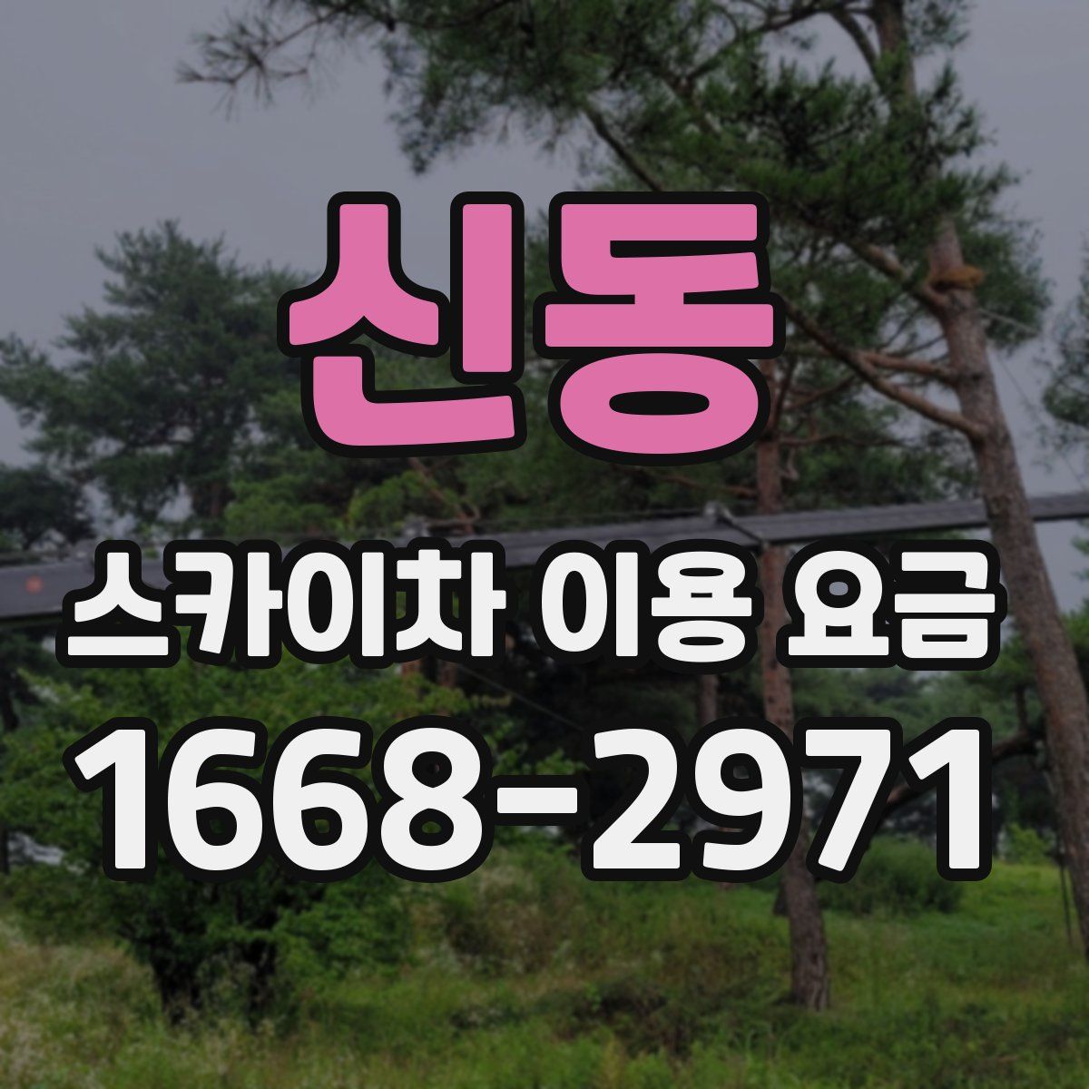 신동 스카이차 이용 요금