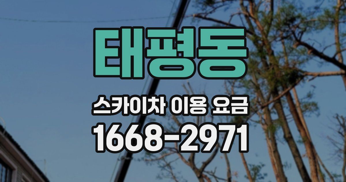 태평동 스카이차 이용 요금