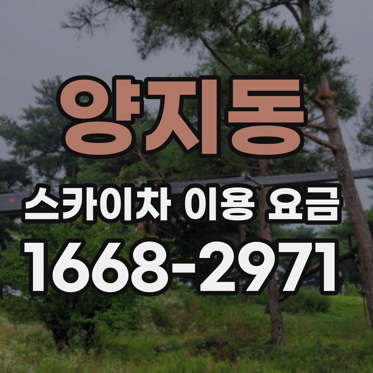 양지동 스카이차 이용 요금