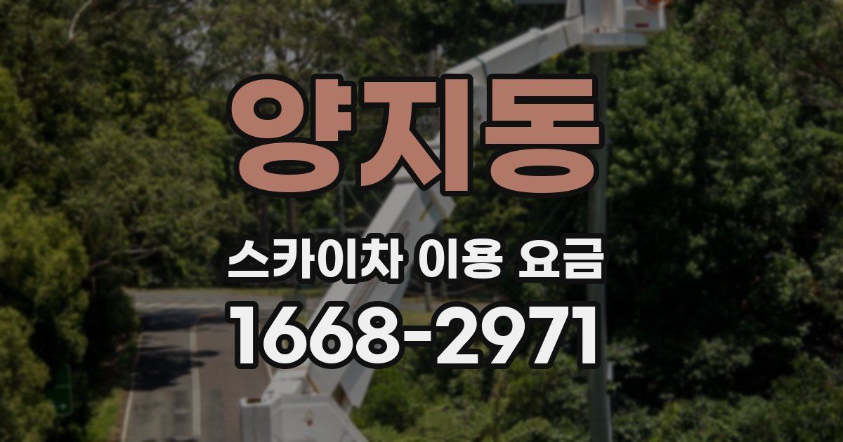 양지동 스카이차 이용 요금