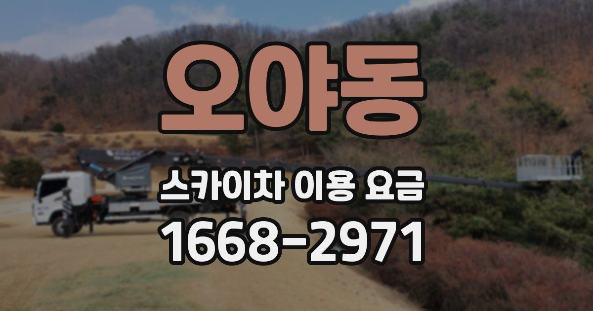 오야동 스카이차 이용 요금