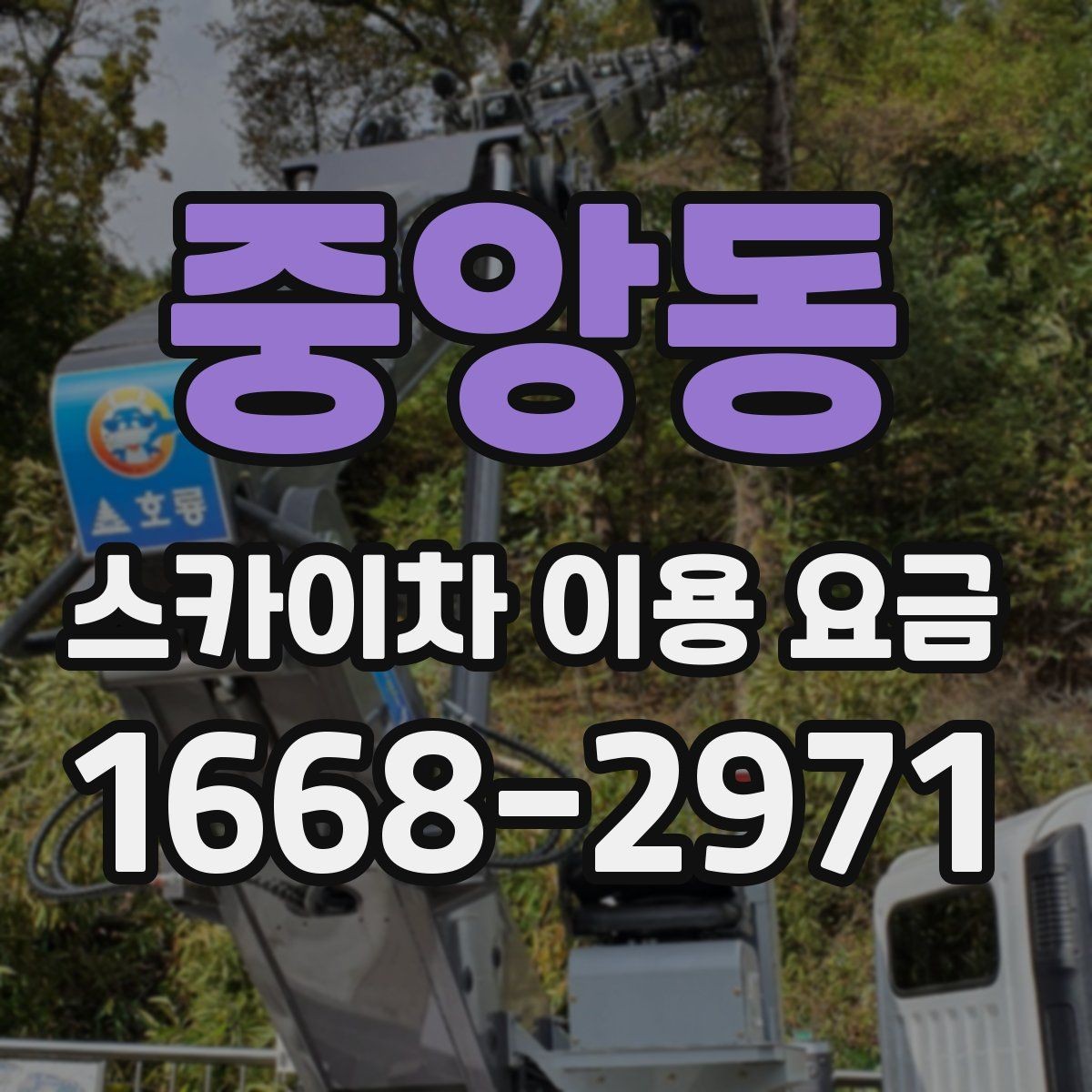 중앙동 스카이차 이용 요금 책정 기준을 쉽게 정리