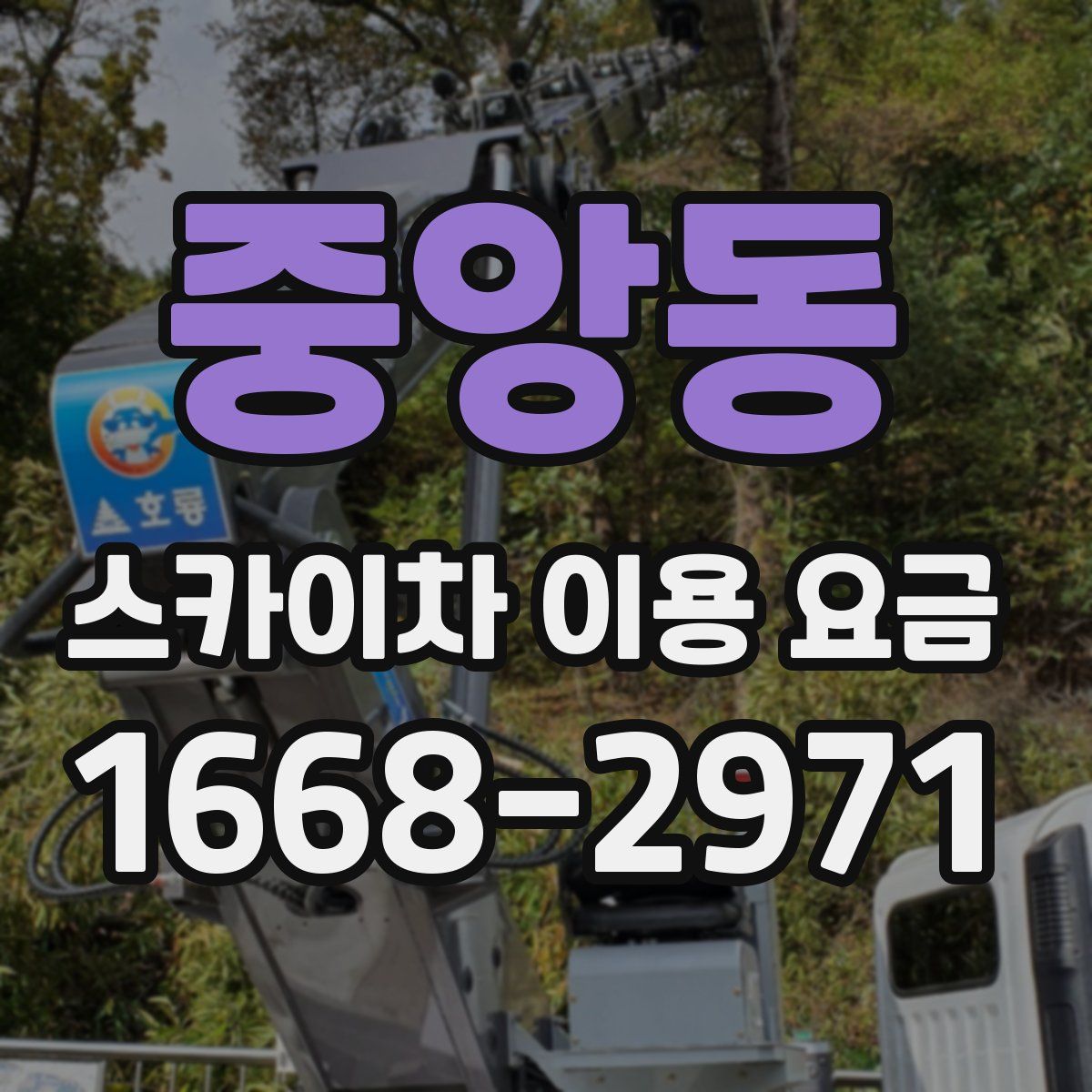 중앙동 스카이차 이용 요금