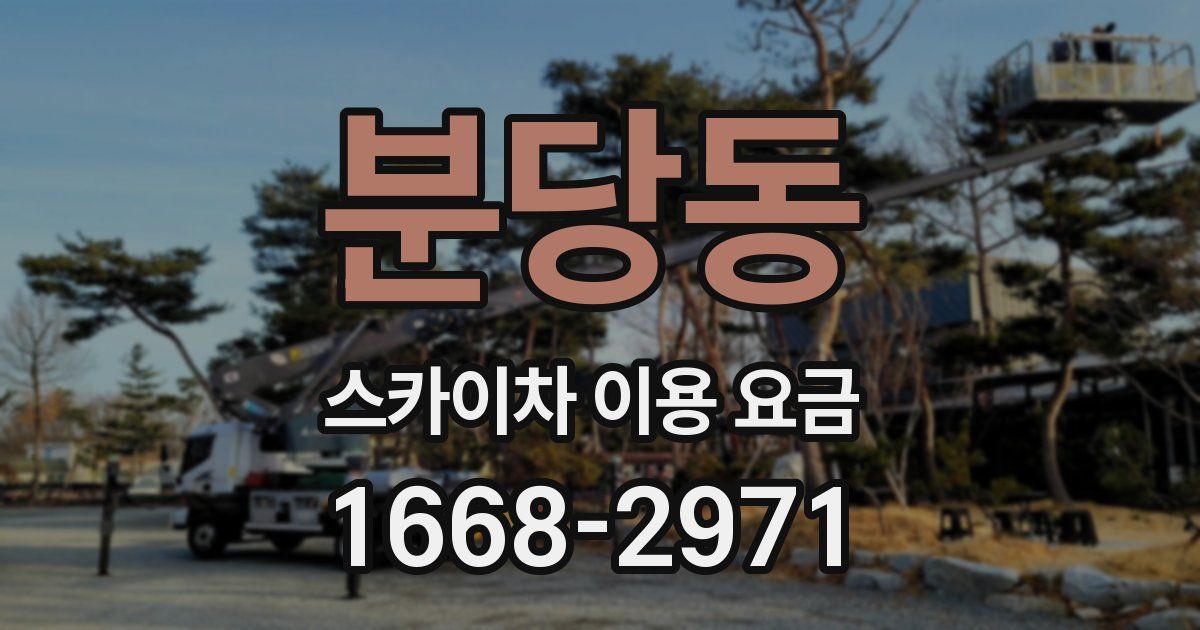 분당동 스카이차 이용 요금