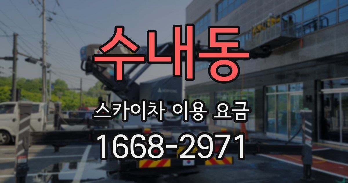 수내동 스카이차 이용 요금