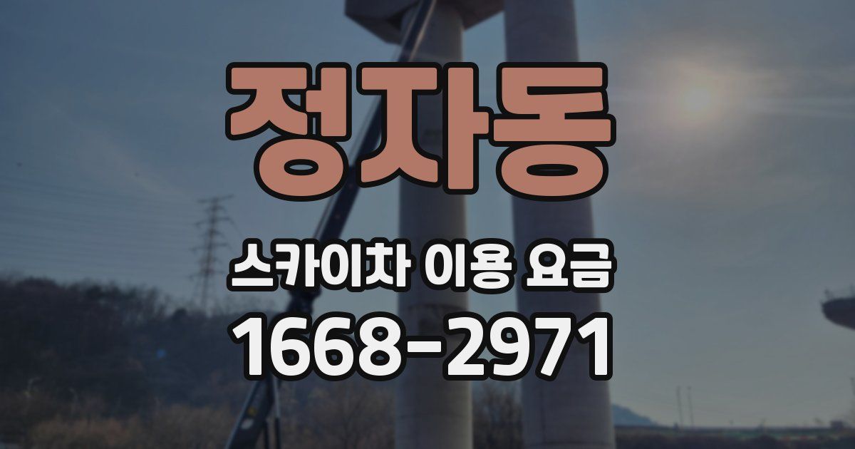 정자동 스카이차 이용 요금