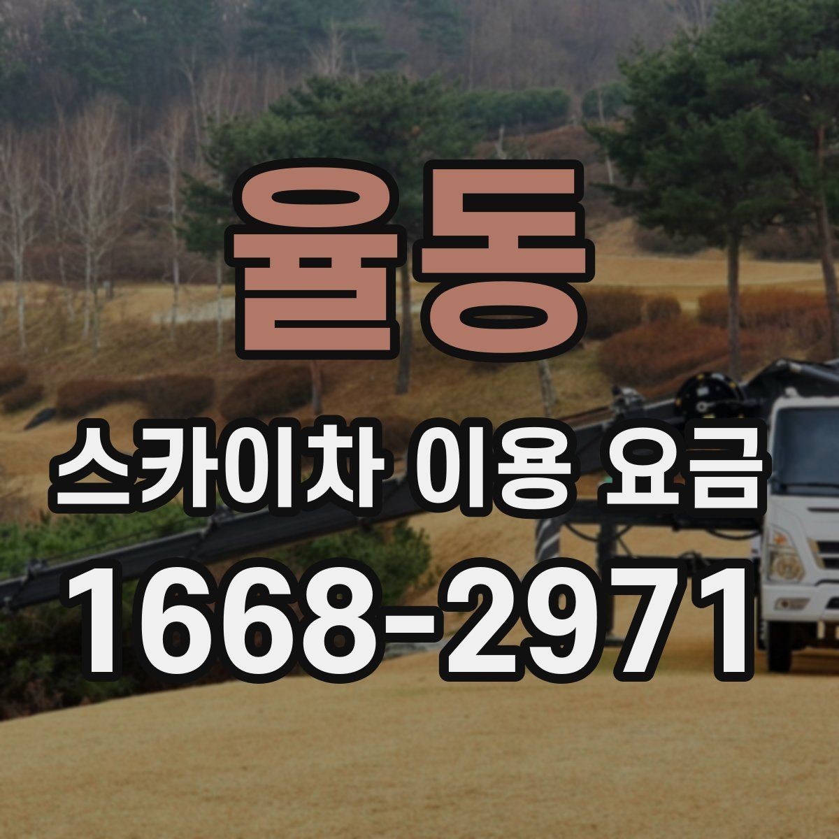 율동 스카이차 이용 요금 비교, 가격만 보면 안 되는 이유