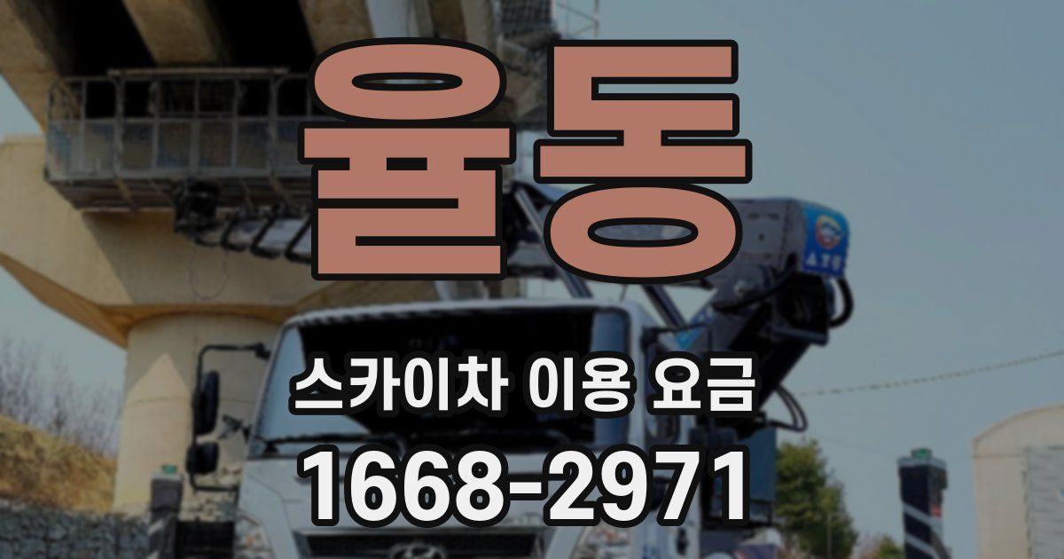 율동 스카이차 이용 요금
