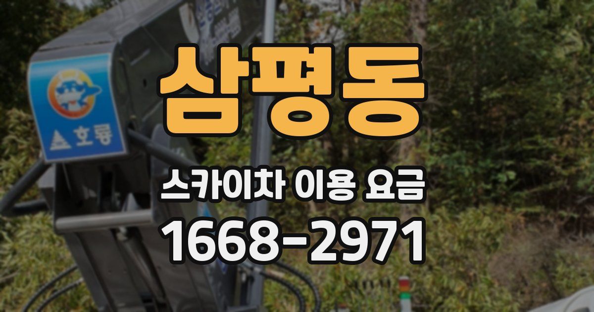 삼평동 스카이차 이용 요금