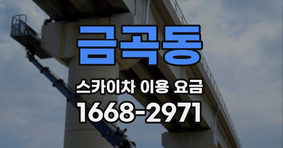 금곡동 스카이차 이용 요금