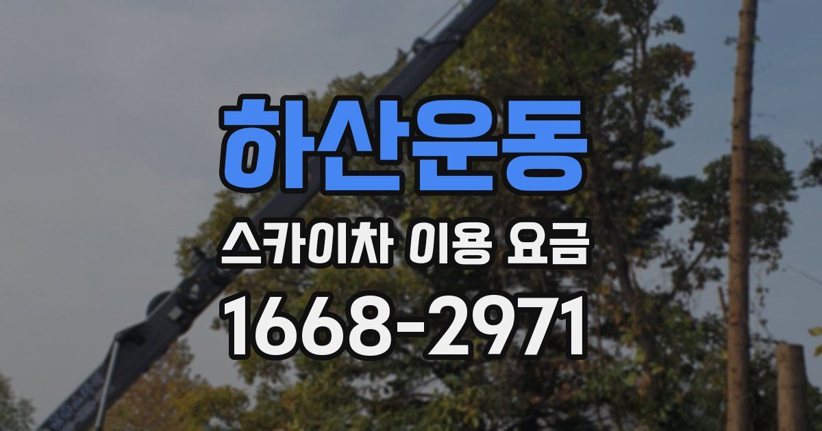 하산운동 스카이차 이용 요금