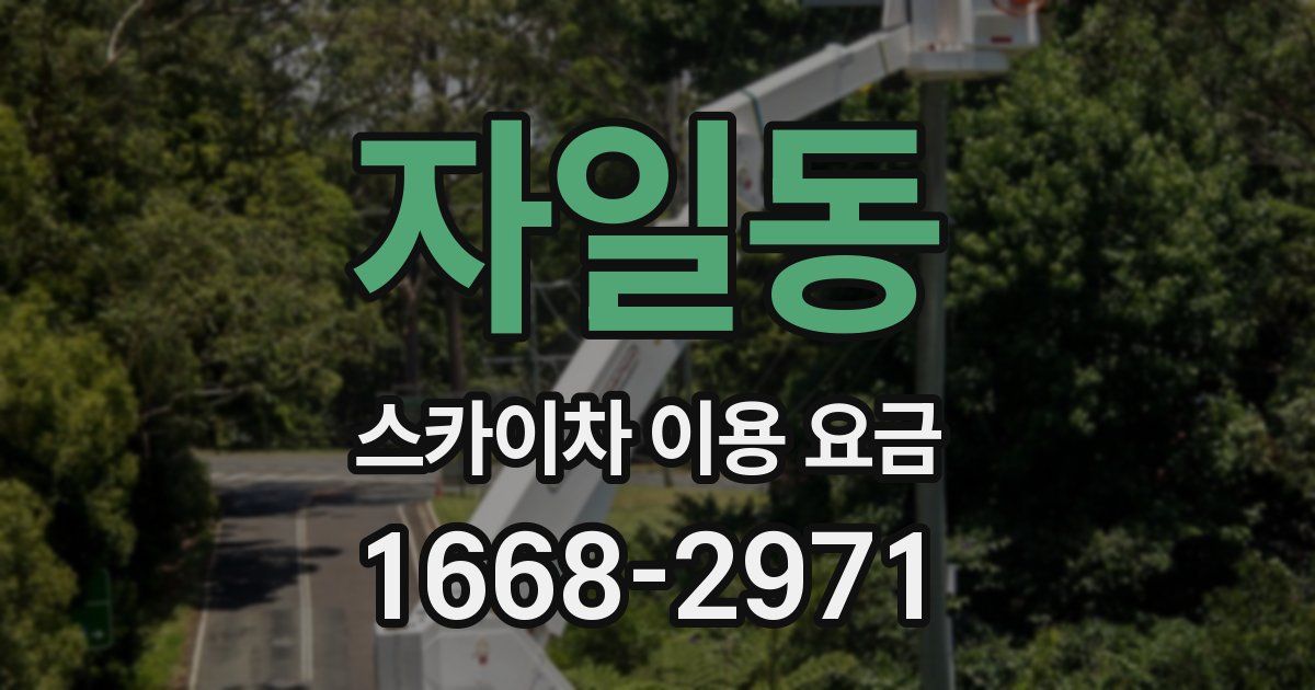자일동 스카이차 이용 요금