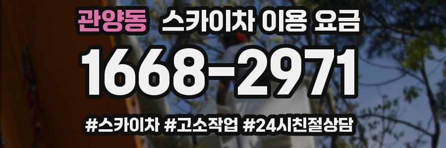 관양동 스카이차 이용 요금