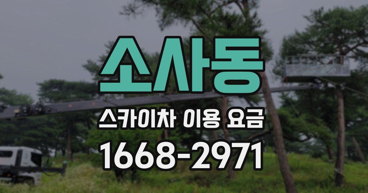 소사동 스카이차 이용 요금