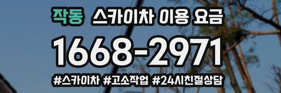 작동 스카이차 이용 요금