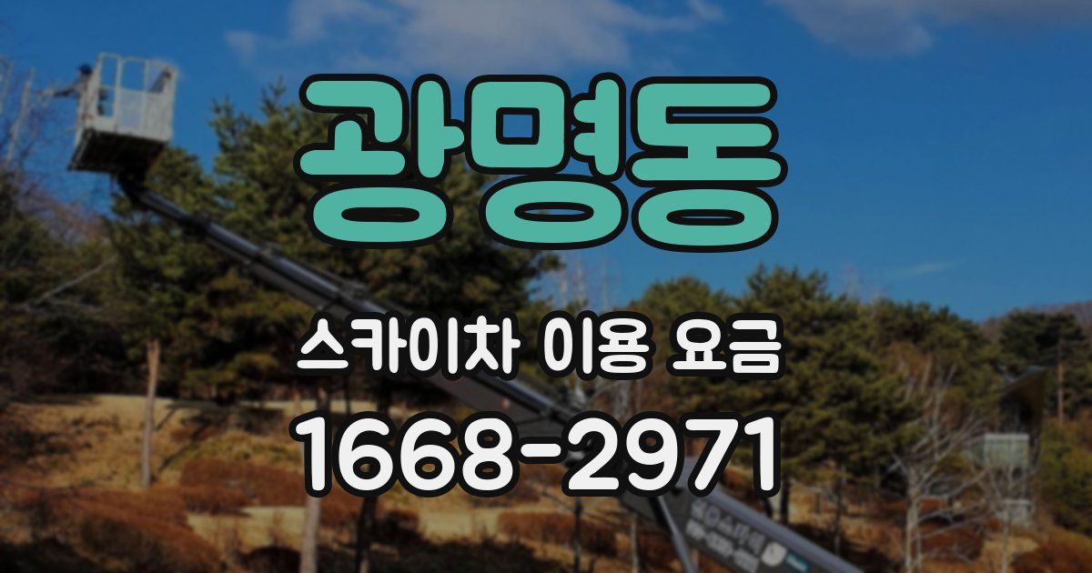 광명동 스카이차 이용 요금