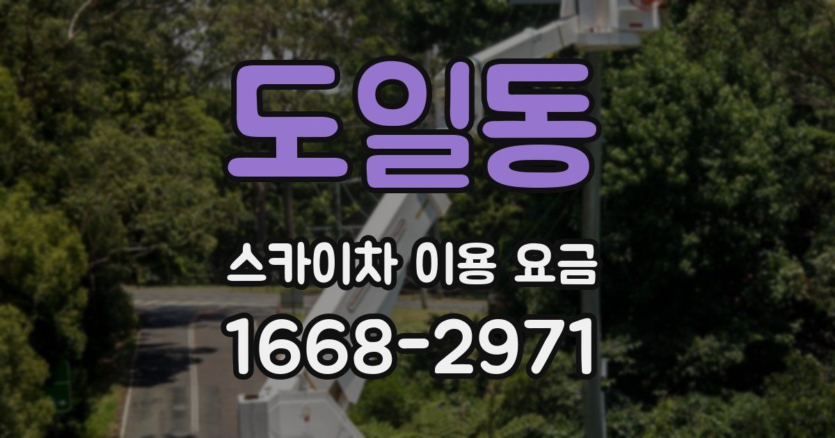 도일동 스카이차 이용 요금