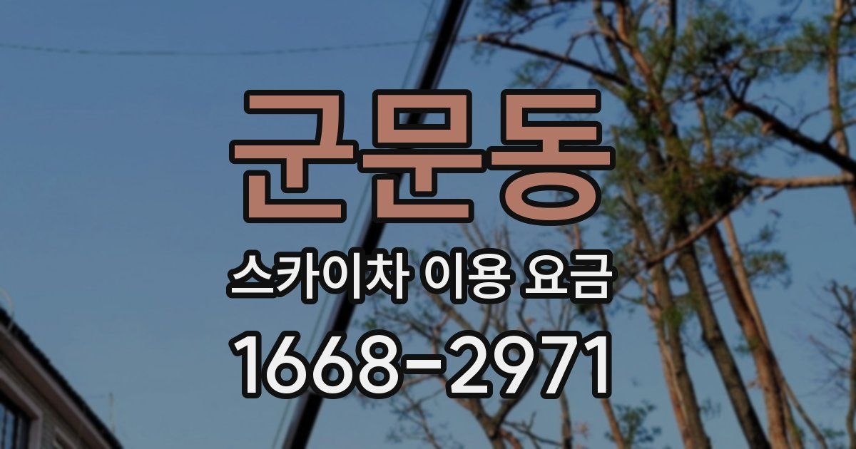 군문동 스카이차 이용 요금