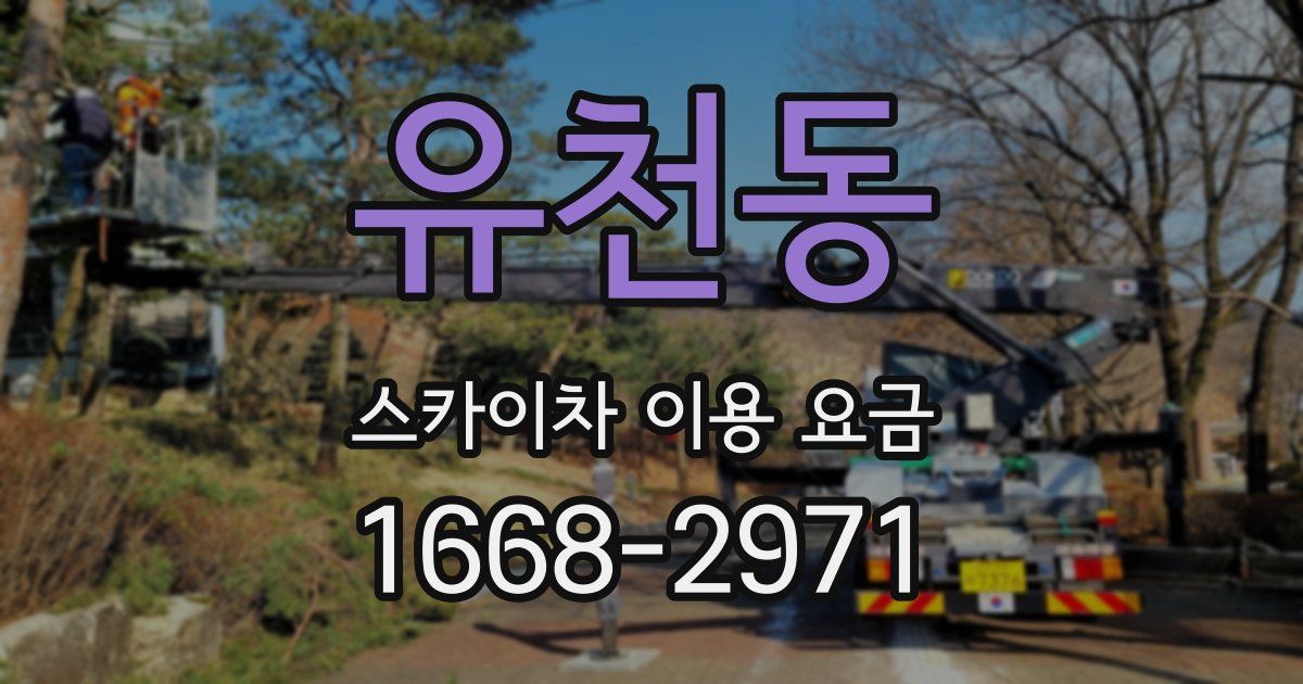 유천동 스카이차 이용 요금