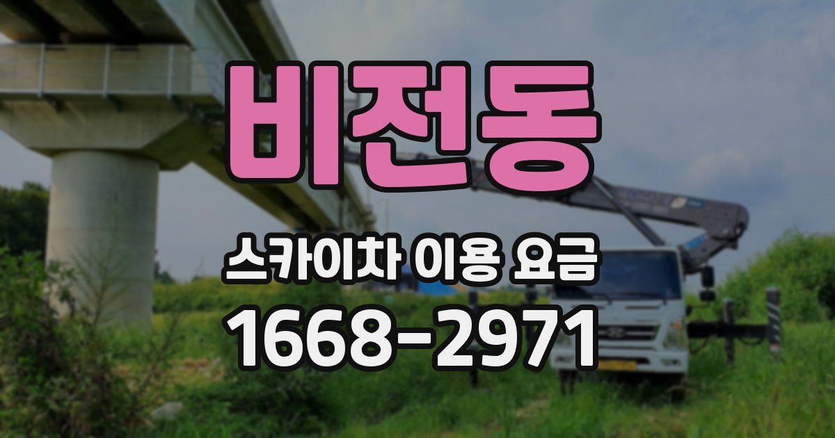 비전동 스카이차 이용 요금