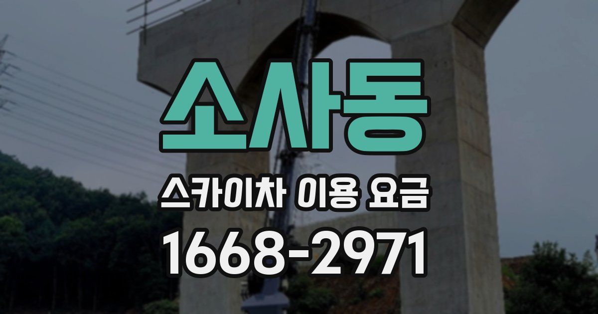 소사동 스카이차 이용 요금