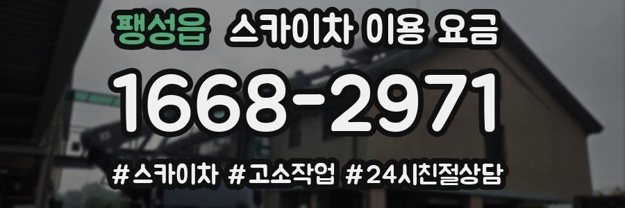 팽성읍 스카이차 이용 요금