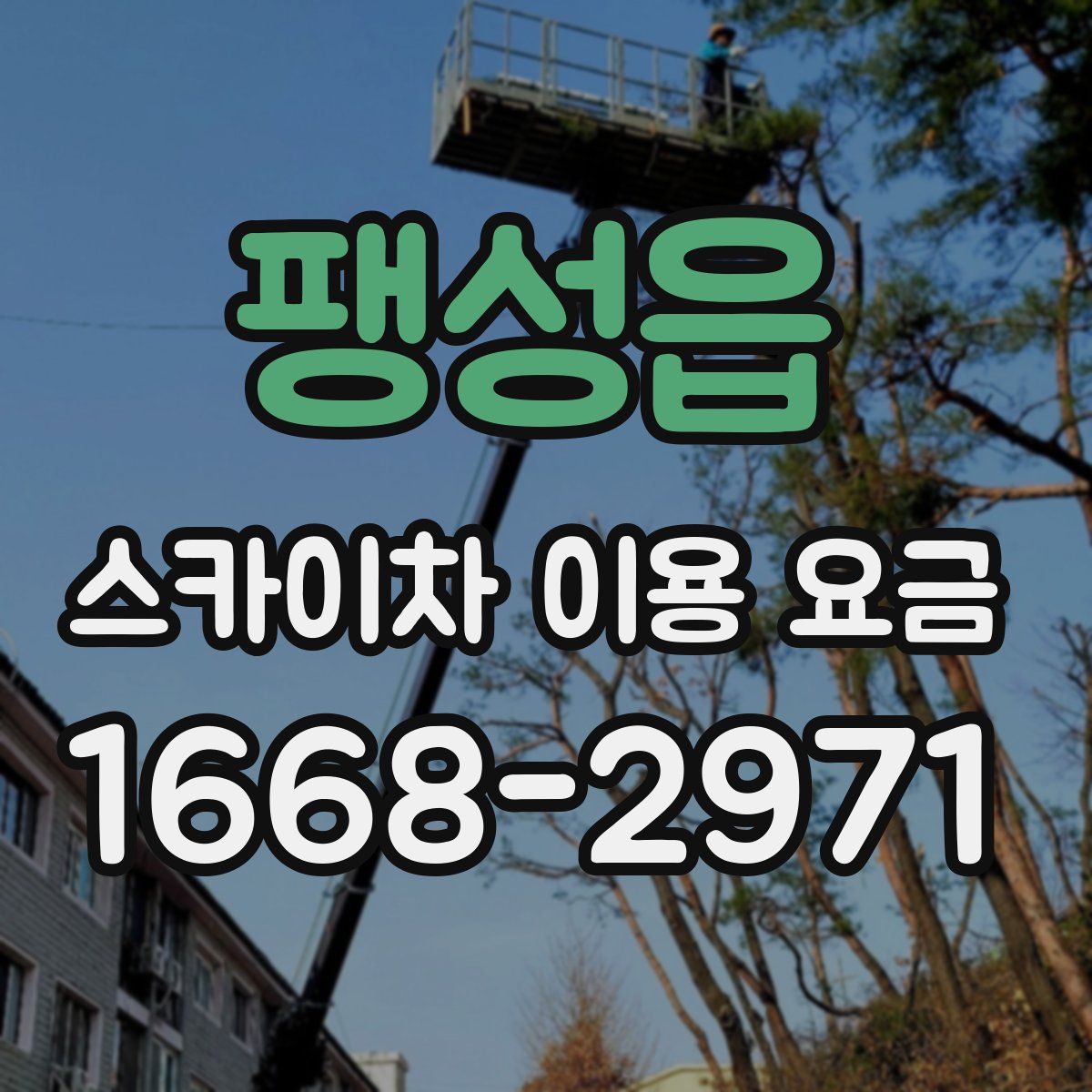 팽성읍 스카이차 이용 요금
