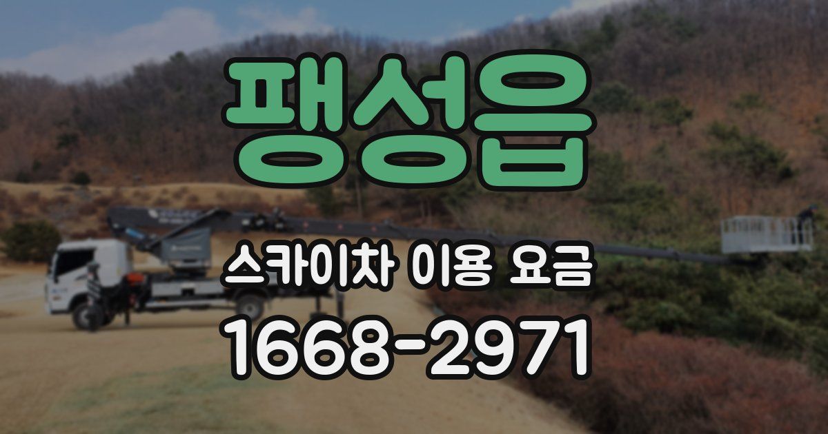 팽성읍 스카이차 이용 요금