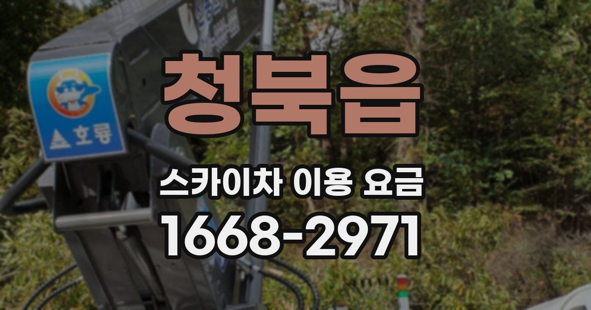 청북읍 스카이차 이용 요금
