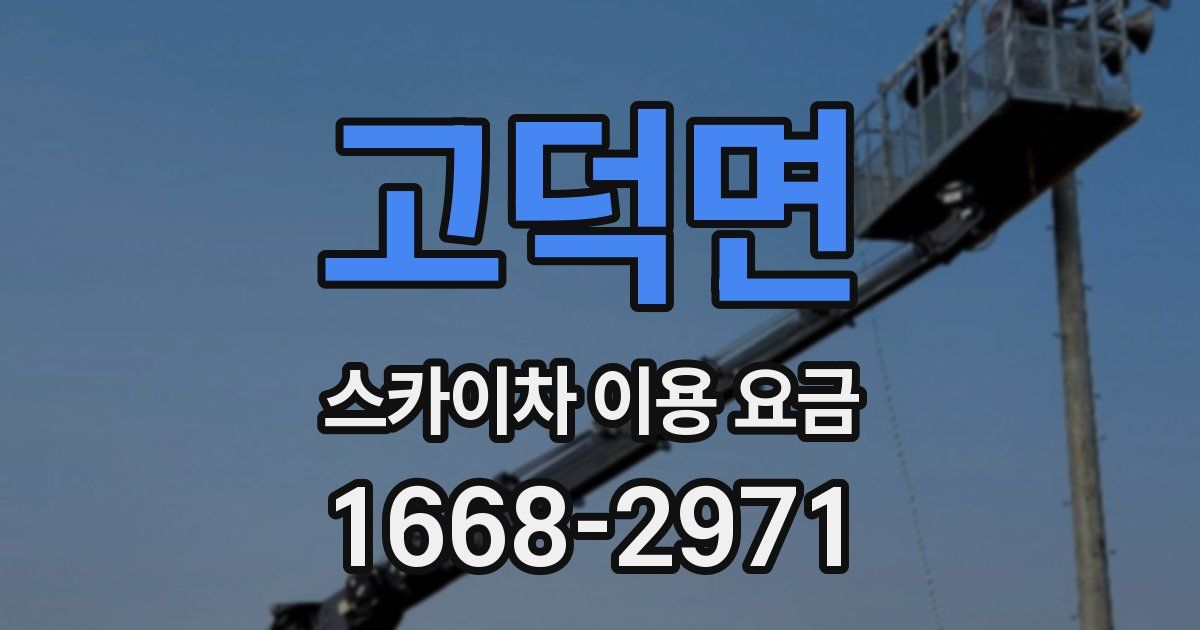 고덕면 스카이차 이용 요금