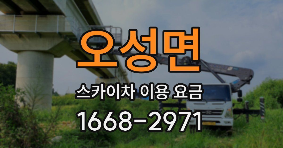 오성면 스카이차 이용 요금