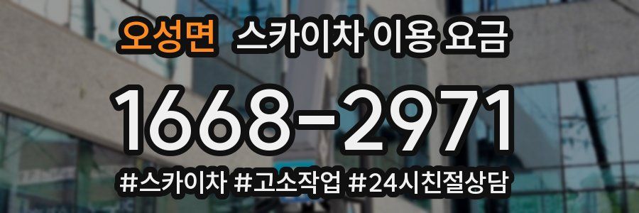 오성면 스카이차 이용 요금