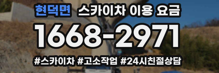 현덕면 스카이차 이용 요금