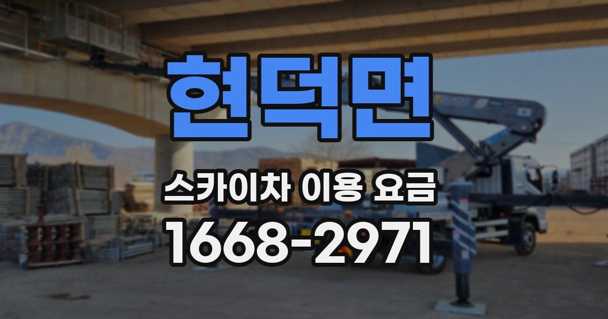 현덕면 스카이차 이용 요금