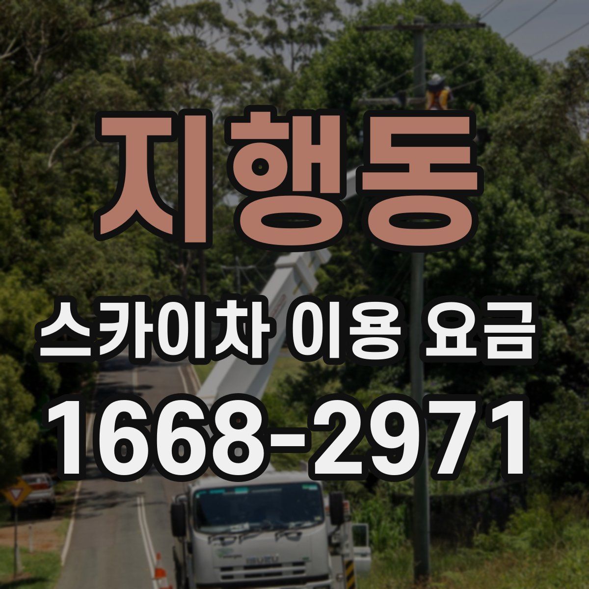 지행동 스카이차 이용 요금