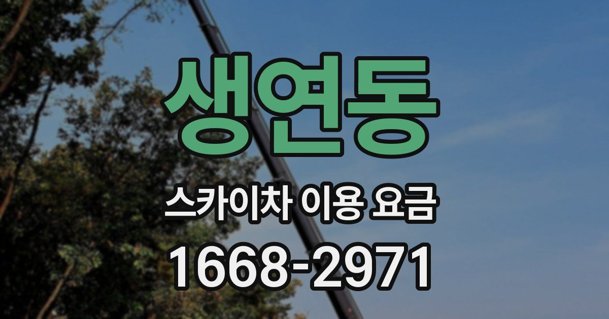 생연동 스카이차 이용 요금