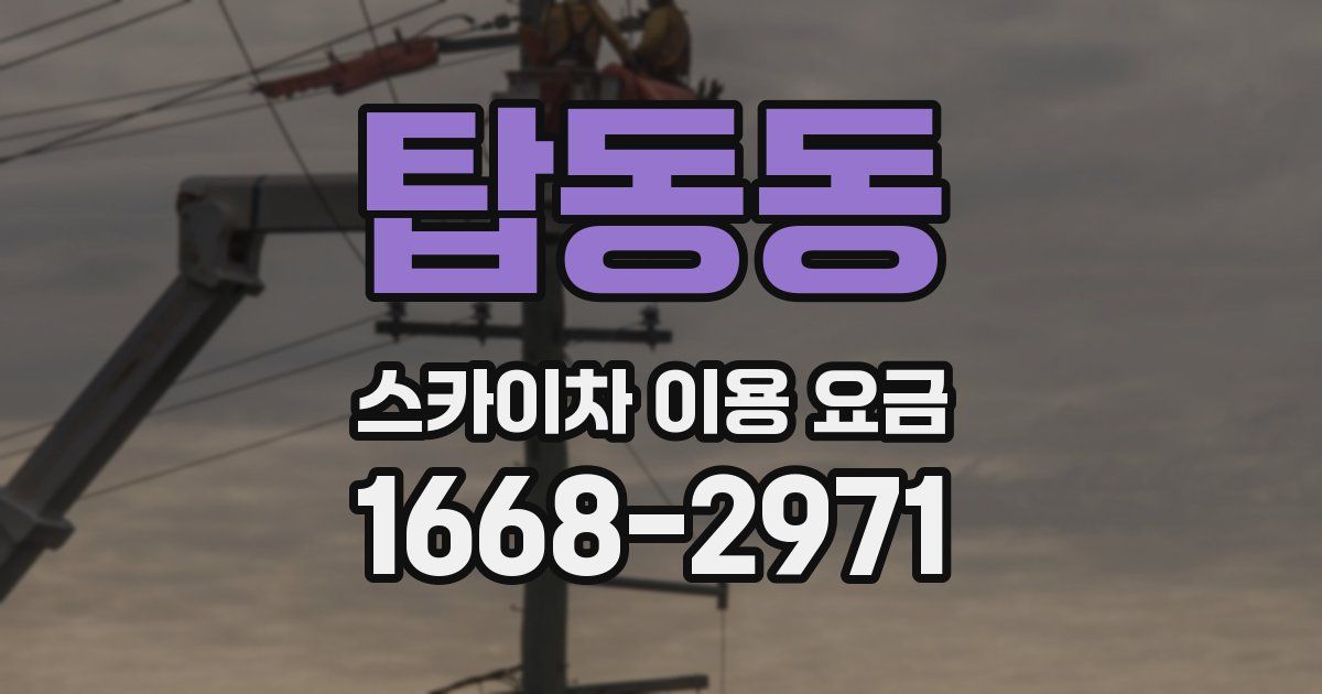 탑동동 스카이차 이용 요금