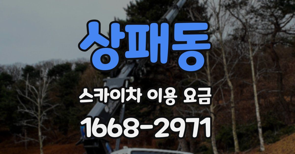 상패동 스카이차 이용 요금