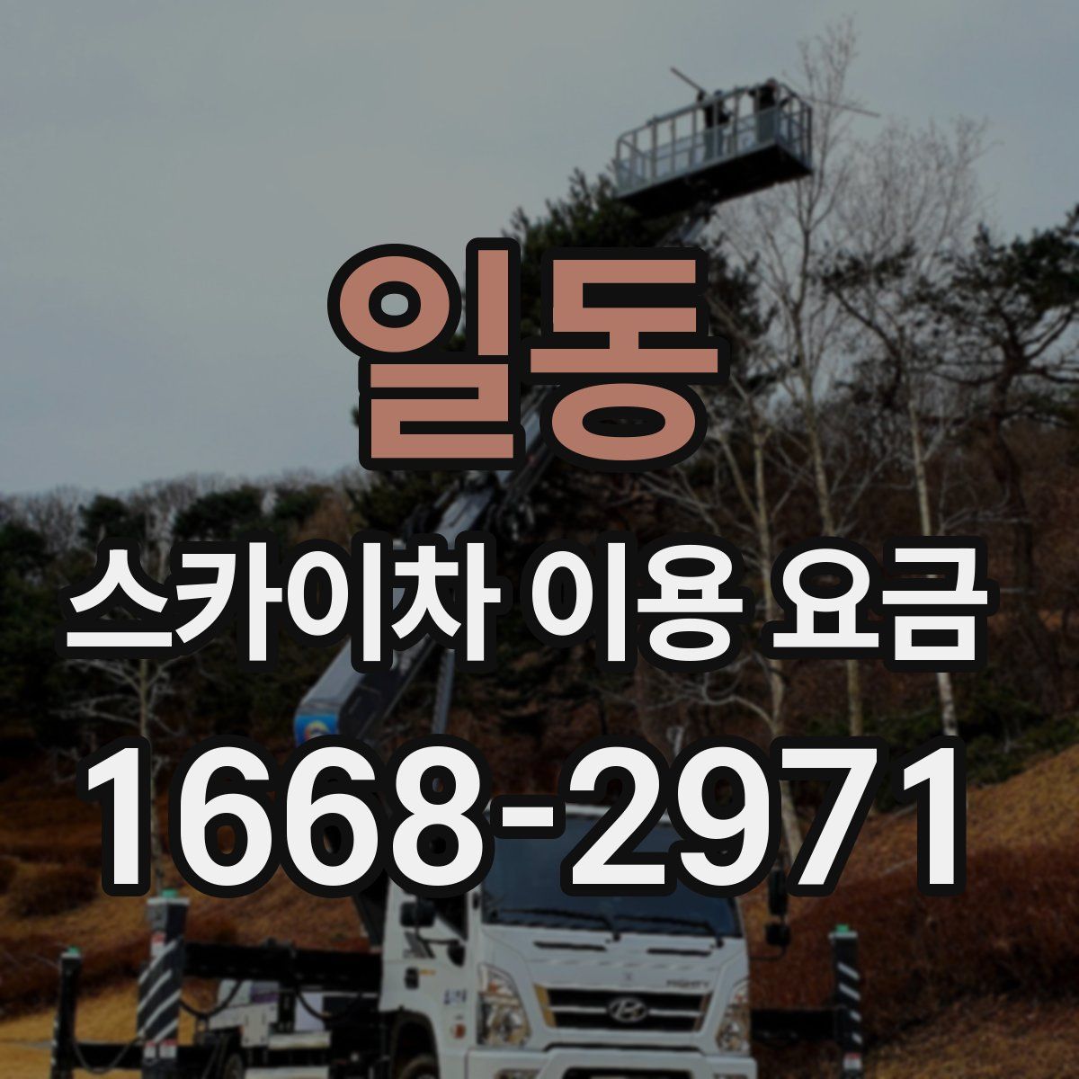 일동 스카이차 이용 요금