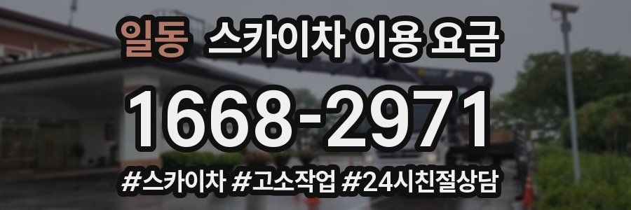 일동 스카이차 이용 요금