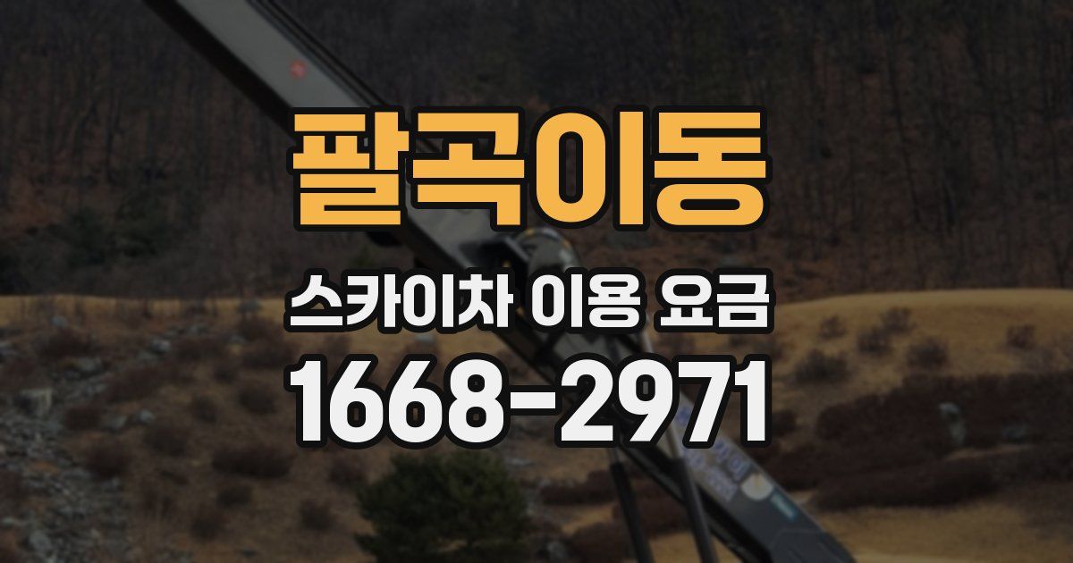 팔곡이동 스카이차 이용 요금