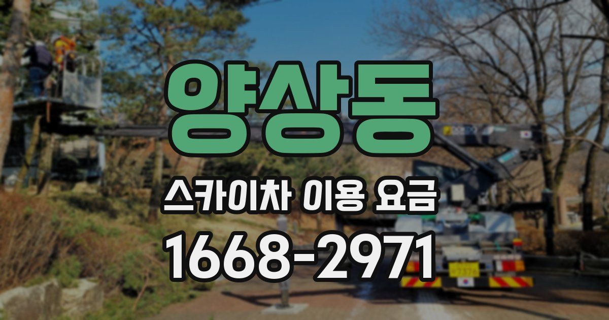 양상동 스카이차 이용 요금