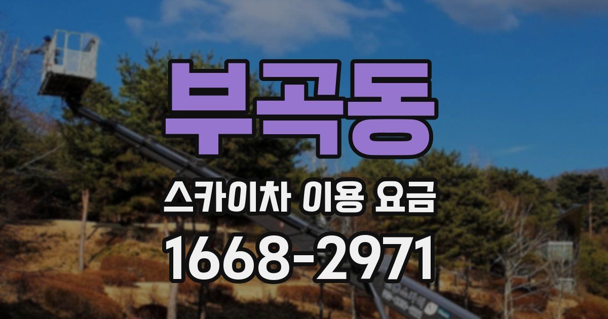 부곡동 스카이차 이용 요금