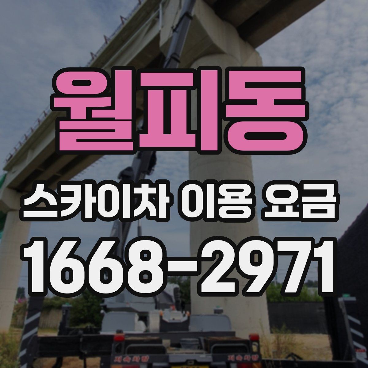 월피동 스카이차 이용 요금 비교에서 중요한 확인 사항