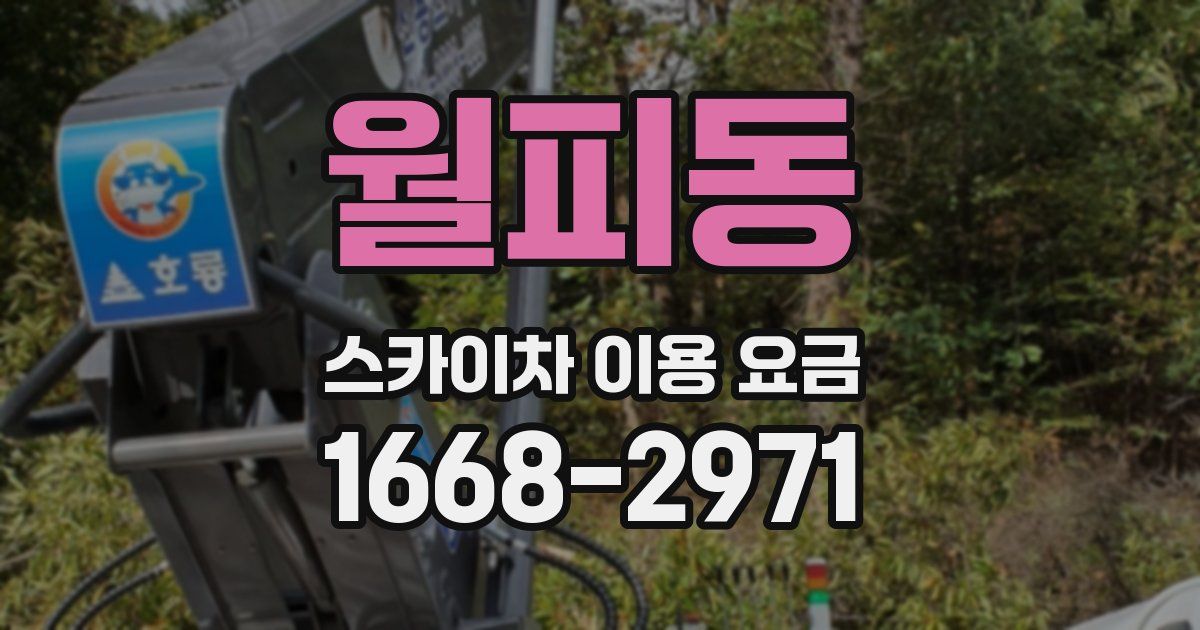 월피동 스카이차 이용 요금